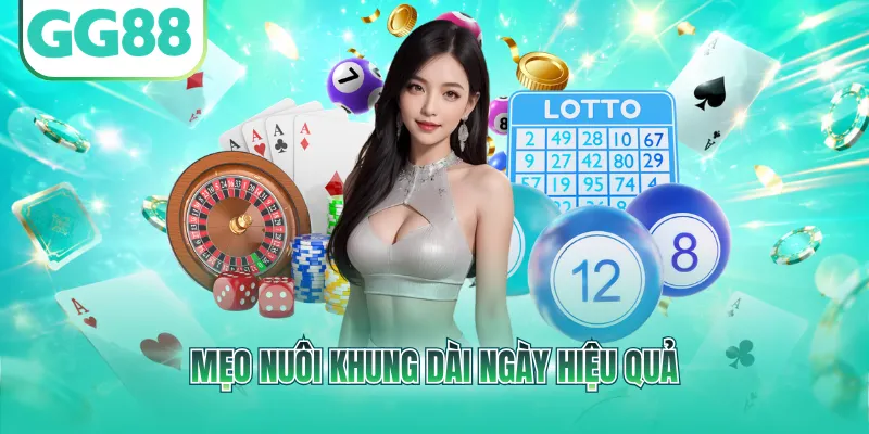 Mẹo nuôi khung dài ngày hiệu quả